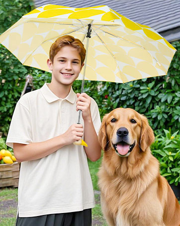 automatic umbrella open close auto