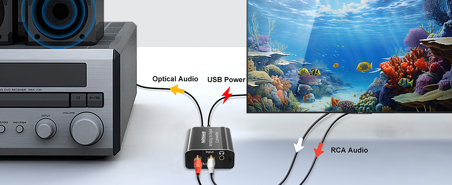 rca input to optical output