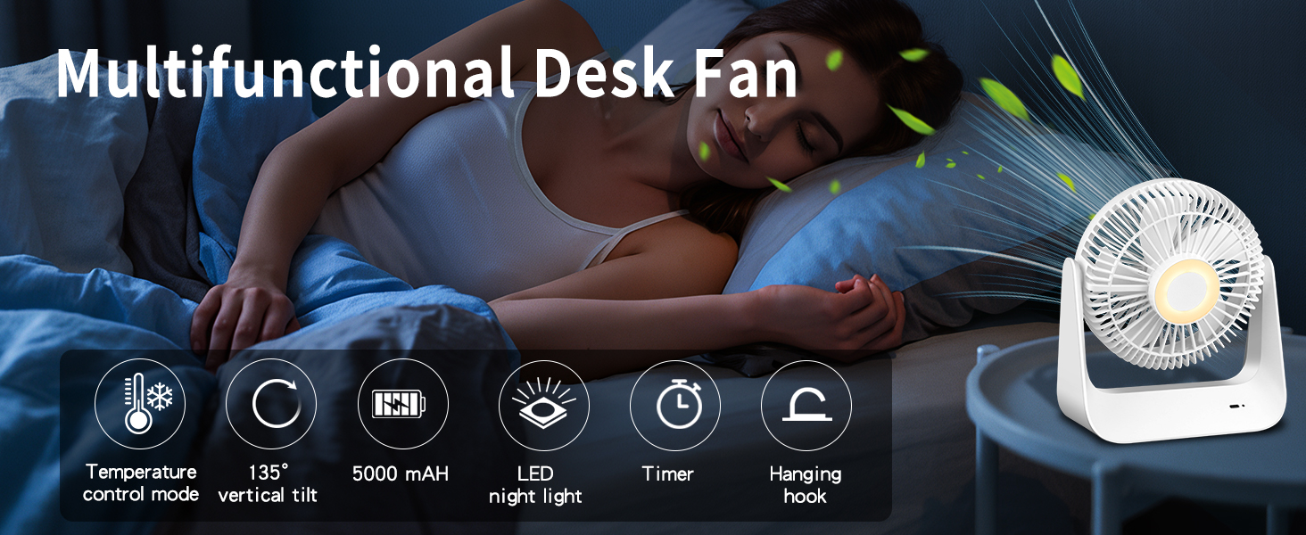 Multifunctional Desk Fan