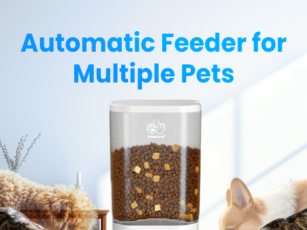 automatic cat feeder
