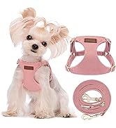 No Pull Dog Harness with Multifunction Dog Leash,Lightweight Pet Harness Vest and Soft Adjustable...