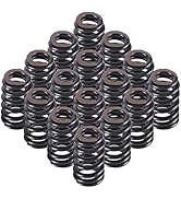 FGJQEFG .560" Lift Valve Spring Set Compatible with 97-18 Chevrolet Gen III IV 4.8L 5.7L 6.2L Eng...