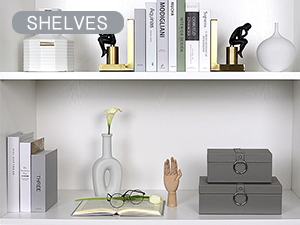 Dust Pan and Brush Set