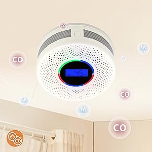 Smoke and Carbon Monoxide Detector