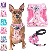 BEAUTYZOO Step in Dog Harness and Leash Set, Floral Pattern Reflective Dog Harness No Pull No Cho...