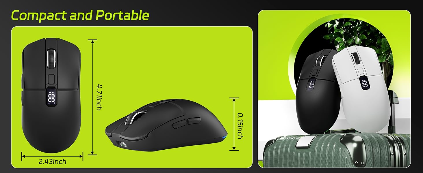 mouse