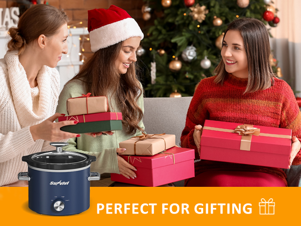 small slow cooker/mini electric food warmers for small kitchens/cheese dip warmers for 2-4 people