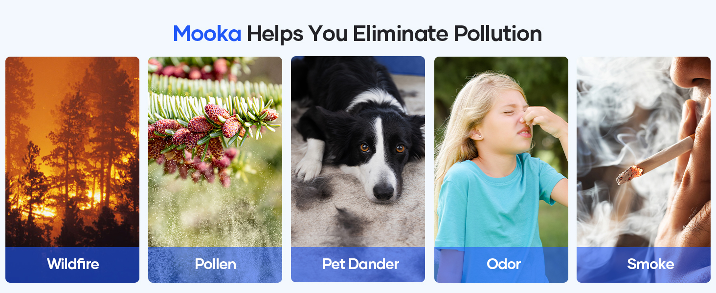 air purifiers for home