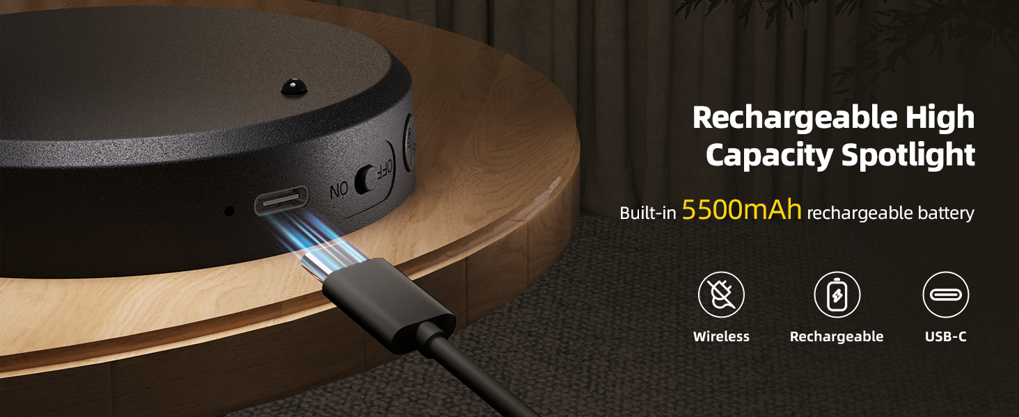 Rechargeable battery plant spotlight indoor