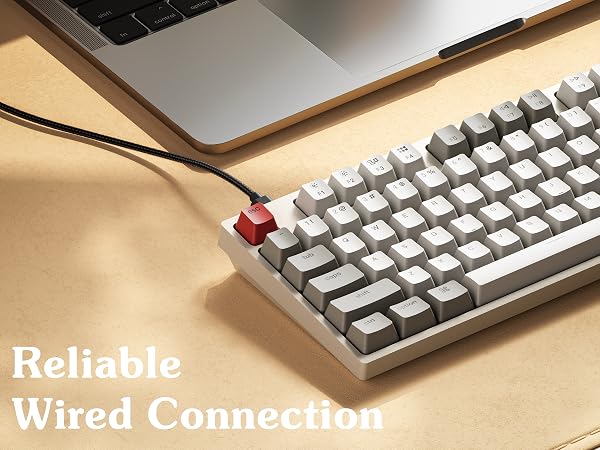 Keychron C2 Full Size Wired Mechanical Keyboard Retro