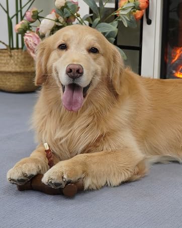 dog bully stick holder