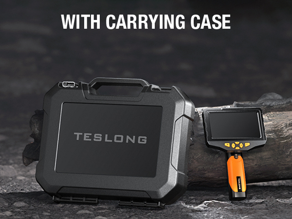 Portable storage box