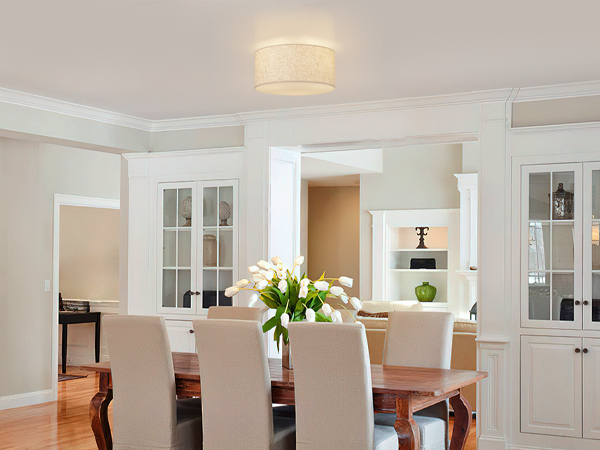 Dining Room lighting