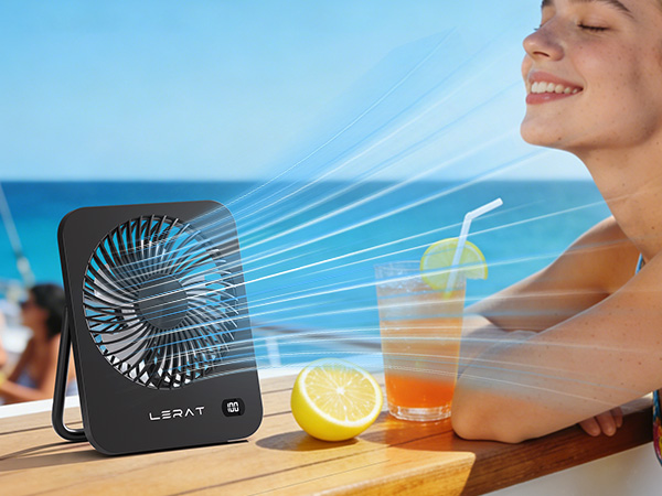 Portable Fan
