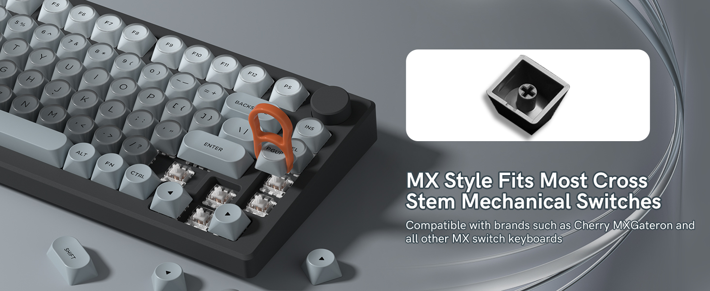 Compatible with brands such as Cherry MX, Gateron and all other MX switch keyboards.
