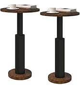 LAATOOREE Small Round Side Tables Set of 2, Drink Tables, Accent Coffee Tables, Pedestal End Tabl...