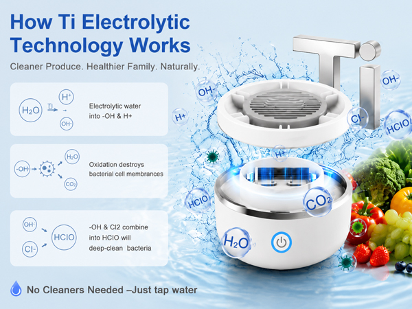 fruit and vegetable washer