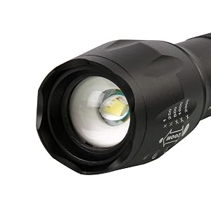 cree led