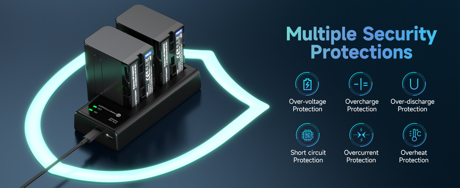 sony npf battery