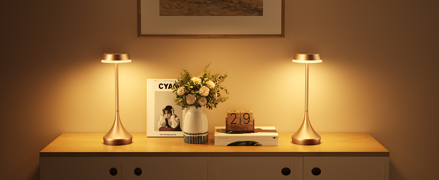 battery operated lamp