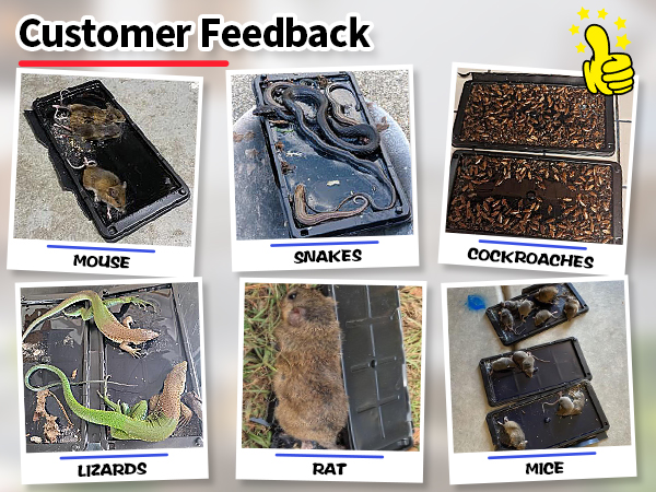 Pre-Scented Adhesive Plastic Tray