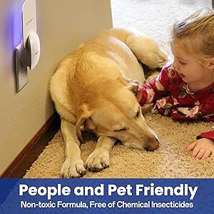 people and pet friendly