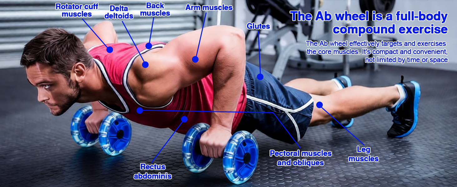 The Ab Roller Wheel Disc are designed to help you burn calories and build muscle efficiently