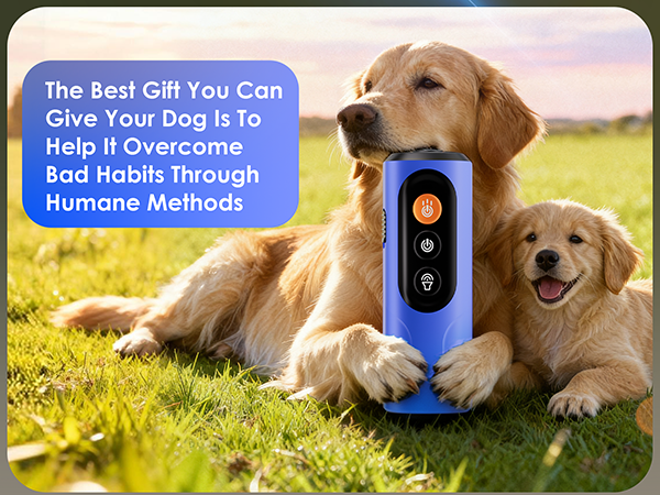 Dog Bark Deterrent Device