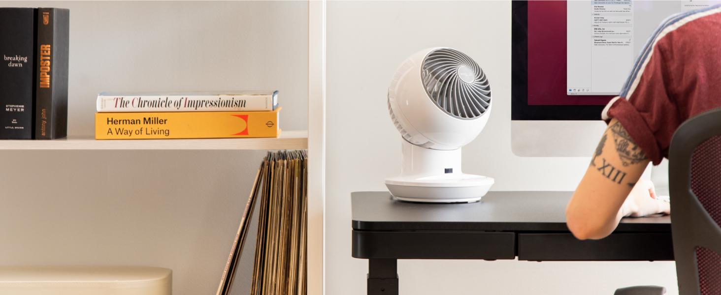 woozoo fan pcf-sc15t