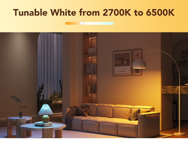 1000LM WiFi Bluetooth Color Changing Light Bulbs