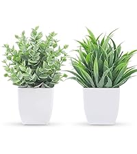 https://m.media-amazon.com/images/S/aplus-media-library-service-media/340e8d96-a31a-4ea5-83dd-293ccf8b200d.__AC_SR200,225___.jpg
