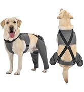 Arblina Dog Recovery Sleeve for Hind Leg, Adjustable Buckled Rear Leg Sleeve to Prevent Licking W...