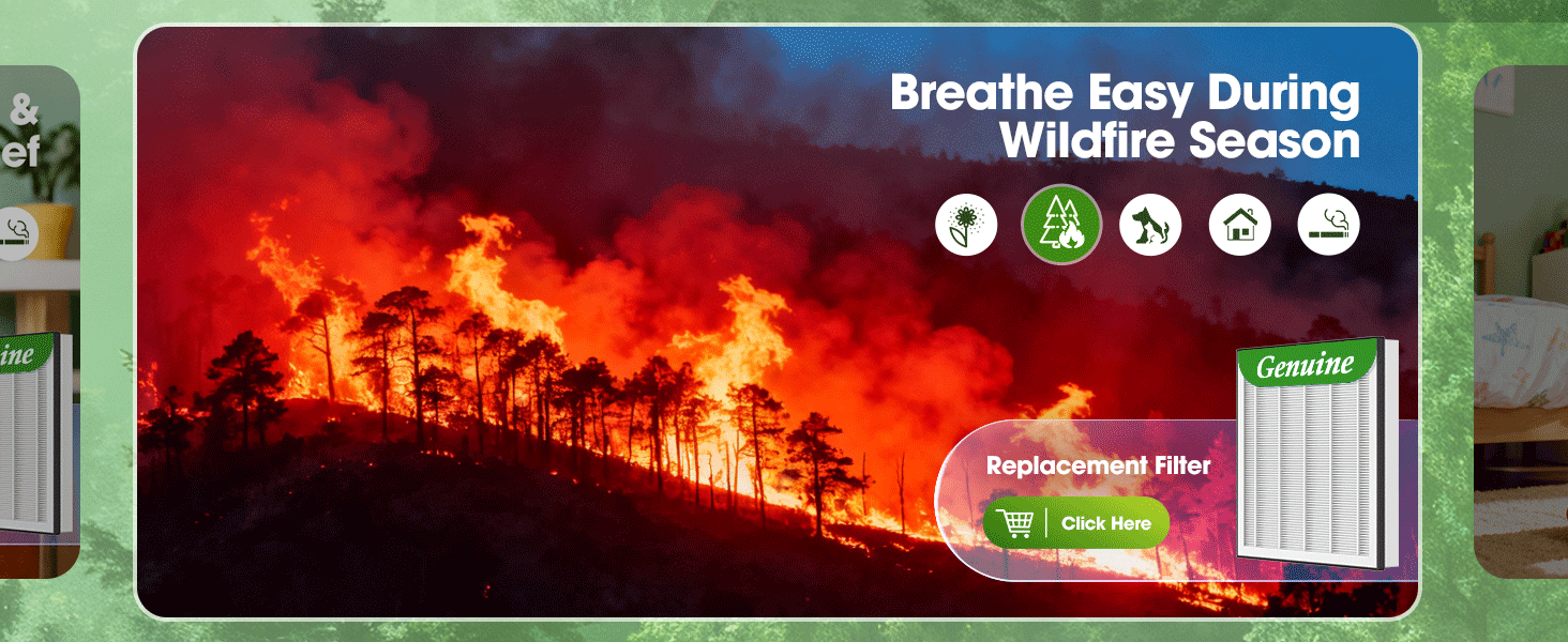 large air purifiers for home