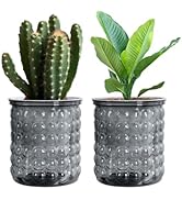 Qhzxcvlk 2 Pack Self Watering Planters Indoor Flower Pots, 4.5 Inch Clear African Violet Pots for...