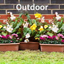outdoor