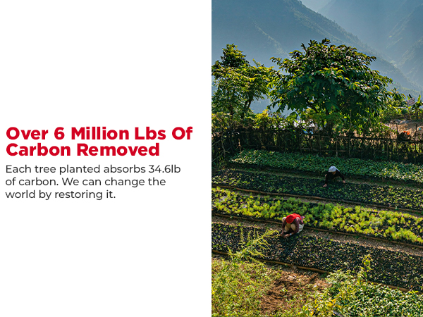 The perfect outside camping games and summer games for outside.