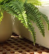 ferns artificial plants large