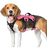 rabbitgoo Escape Proof Dog Harness, Soft Padded Full Body Pet Harness, Reflective Adjustable No P...