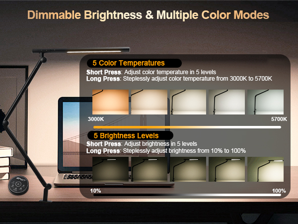 RGB Dual Light