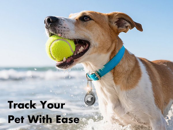 apple air tag. holder keychain