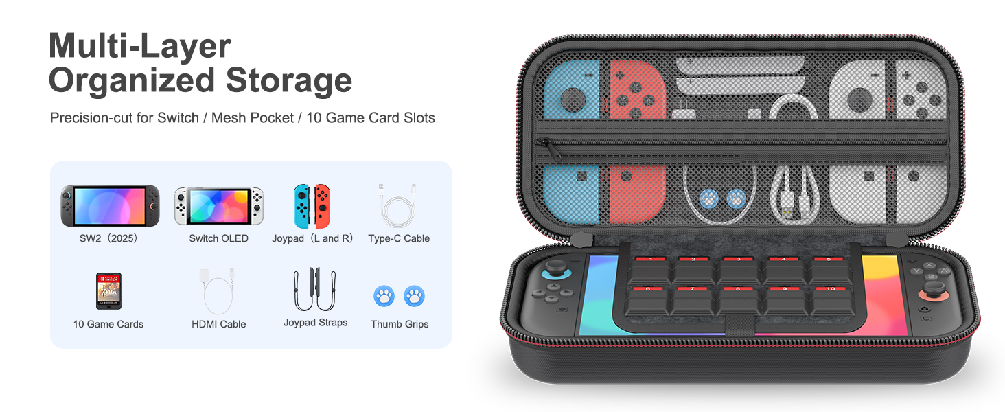Switch 2 carrying case
