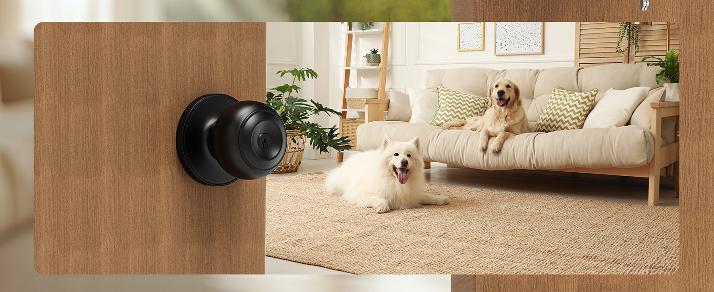 door knob for front door