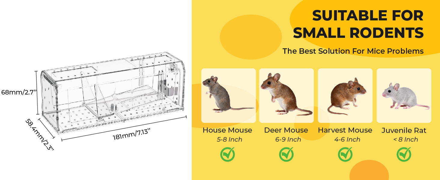 no kill mousetraps