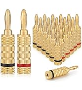 WGGE WG-3333 24k Gold Plated Speaker Banana Plugs-Closed Screw Type (12 Pairs (24 Plugs))