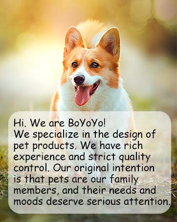 dog toys