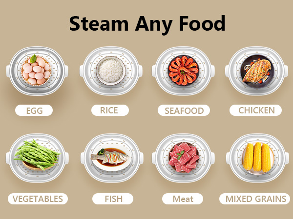 eletric food steamer