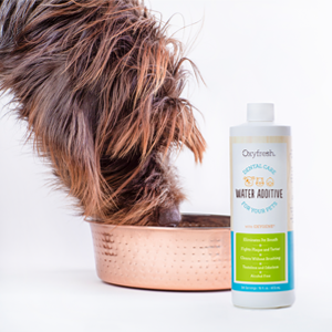 Amazing dog dental care with every sip. No flavor or taste so dogs won’t know it’s in their water! 