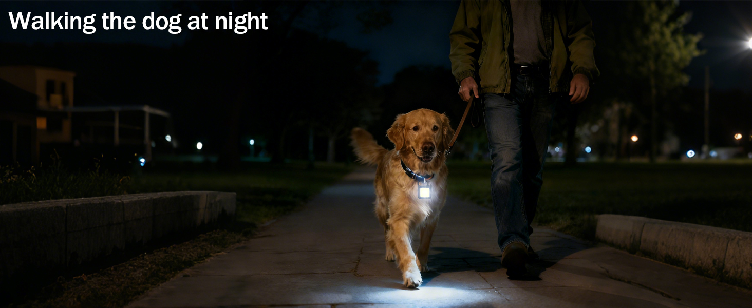 Keychain light for dog walking lighting and warning at night