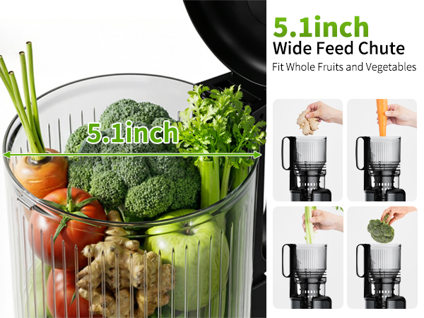 fruit press extractor de jugos
