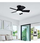 Depuley Modern Ceiling Fan with Light: 25-Inch Black Small Fans for Bedroom Indoor Outdoor - Dimm...